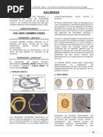 Lab #5 (Ascaris - Tricocéfalo - Oxiuriasis)