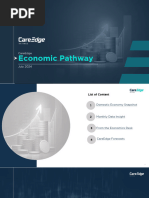 CareEdge Economic Pathway-July 2024