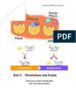 Bab5 Metabolisme Dan Enzim