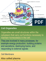 Cell Organelles