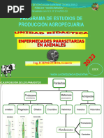 Clase de Enfermedades Parasitarias - Fasciola