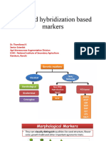 Lecture 7 and 8 PCR and Hybridization Based Markers