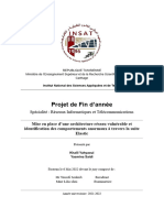 Rapport PFA