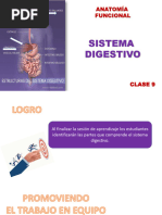 Sistema Digestivo I