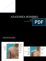 Anatomia Hombro