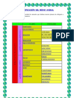 Clasificacion Animales y Plantas