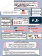 Infografia Neuroeducación Elsa