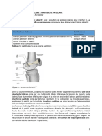 Luxation Femoro-Patellaire