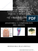 Exposicion de Caries