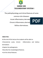 The Pathophysiology of Common Skin Diseases