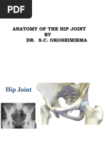 Hip Joint MBBS Lecture