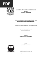 Elaboración de Una Cerveza Artesanal Utilizando Como Adjunto Camote Morado (Ipomoea Batatas)