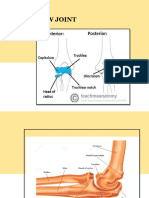 Elbowjoint Anatomy