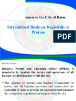 Business Permitting Process