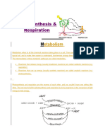 Photosynthesis and Respiration22214741+