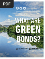 What Are Green Bonds