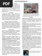 Hipotireoidismo (Resumo Medicina Veterinária)