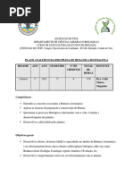 Plano Analitico BS