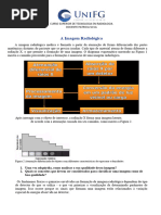 A Imagem Radiológica