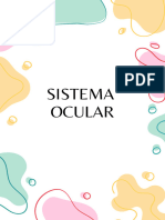 Sistema Ocular