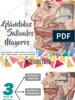 PDF Glandulas Salivales Mayores