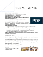 Proiect de Activitateabilitati Practice