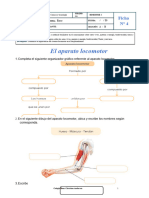 ?ficha N°4 - Aparato Locomotor