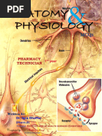 Anatomy & Physiology Mcqs Solved