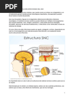 (Byn) M6 NEURO MICROBIOLOGÍA INFECCIONES DEL SNC