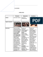 Anélidos, Cuadro Comparativo