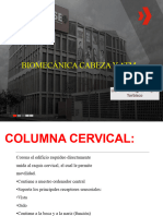 Biomecanica Cabeza, Atm