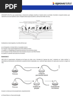 Evolução