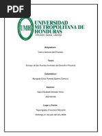 Ensayo de Las Fuentes Fundamentales Del Derecho Procesal.