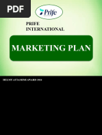 Marketing Plan Prife 2024