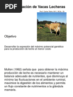 Alimentación de Vacas Lecheras