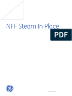 NFF Steam in Place