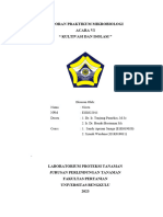 Laporan Praktikum Mikrobiologi Kultivasi Dan Inolasi Bab IV