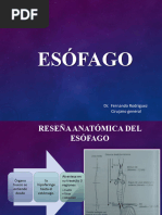 Esofago