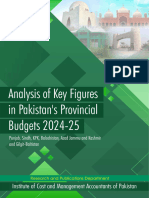 Analysis of Key Figures in Pakistan's Provincial Budgets 2024-25