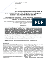 Phytochemical Screening and Antibacterial Activity of Four Cnidoscolus Species (Euphorbiaceae) Against