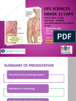 PP21. Gaseous Exchange in Humans