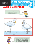 Aves y Mamíferos para Tercer Grado de Primaria