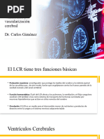 Ventrículos Cerebrales y Vascularización Cerebral