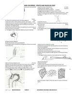 Bones, Joints and Muscles