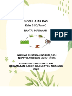 Modul Ajar Ilmu Pengetahuan Alam Dan Sosial (IPAS) - Modul Ajar Berdiferensiasi IPAS Kelas 5 Materi Rantai Makanan - Fase C