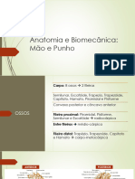 Anatomia e Biomecânica Da Mão