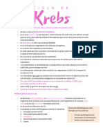 Ciclo de Krebs