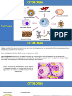 Citologia