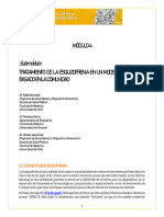 Tratamiento de La Esquizofrenia en Un Modelo de Atencion Basado en La Comunidad