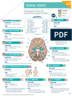 Cranial Nerves 